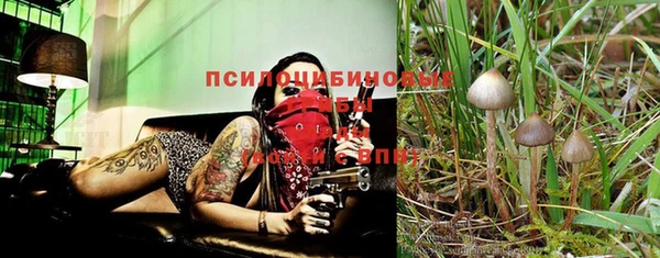 кристаллы Бугульма