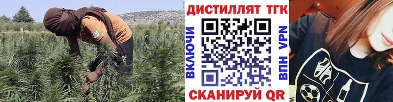 купить  сайты  kraken онион  Дистиллят ТГК гашишное масло  Клинцы 