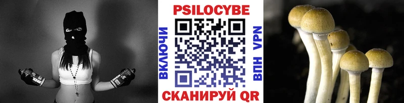 Галлюциногенные грибы GOLDEN TEACHER Клинцы
