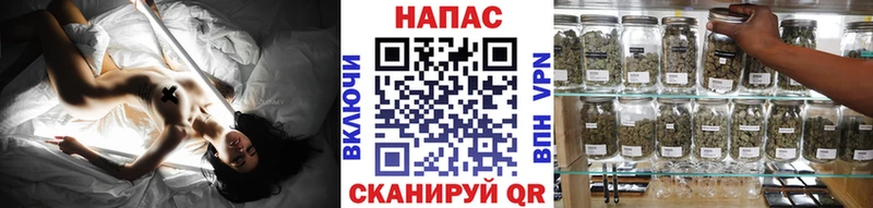 Бошки Шишки SATIVA & INDICA  где продают наркотики  hydra tor  Клинцы 
